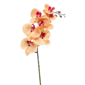ORQUÍDEA Phalaenopsis Melocotón tacto real, realista de 83 cm de altura total realista, para decorar tus bouquets o jardineras