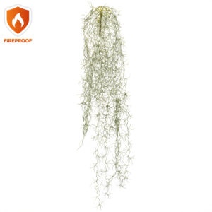 TILLANDSIA colgante IGNÍFUGA 90 cm de alto para exterior o Planta TILLANDSIA Colgante ignífuga 90cm