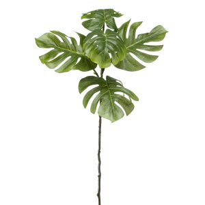 Hojas de MONSTERA artificial de increíble realismo. Es una planta tropical muy exótica, comúnmente conocida como "Costilla de Adán". 64 cm de altura