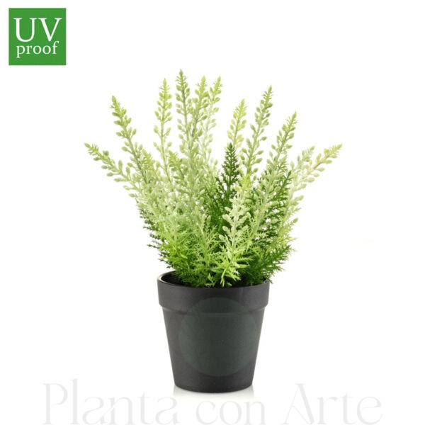 Arbusto de ERICA en maceta para exterior UV artificial realista o flor Arbusto de ERICA BLANCA en maceta artificial realista de 29 cm de altura total realista, para decorar tus bouquets, nichos o jardineras EN EXTERIOR