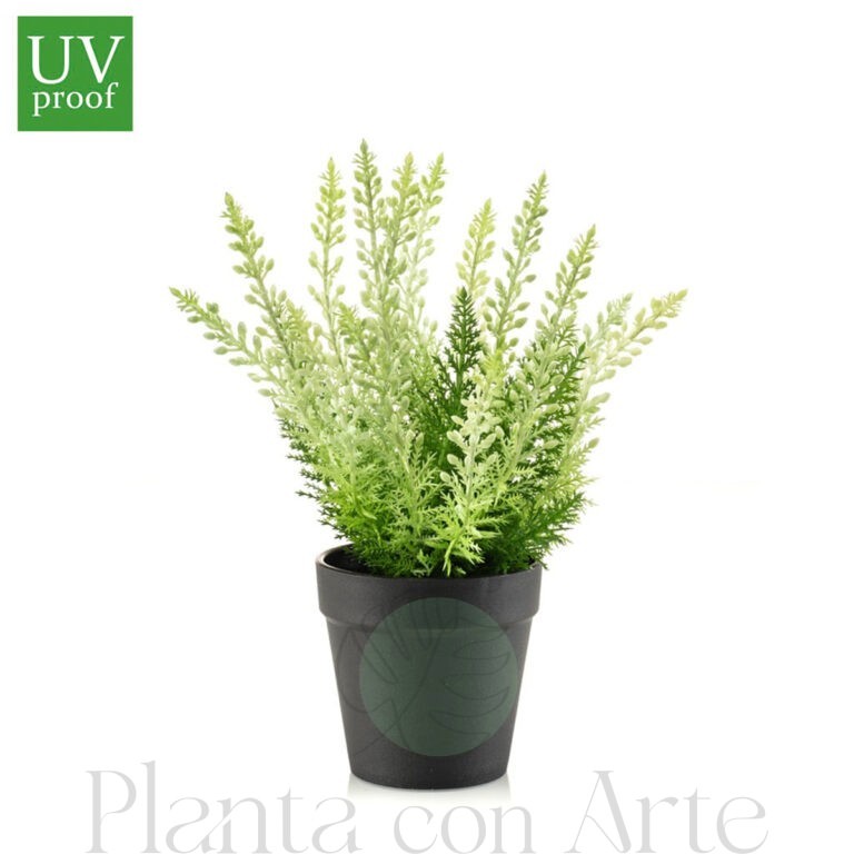 Arbusto de ERICA en maceta para exterior UV artificial realista o flor Arbusto de ERICA BLANCA en maceta artificial realista de 29 cm de altura total realista, para decorar tus bouquets, nichos o jardineras EN EXTERIOR