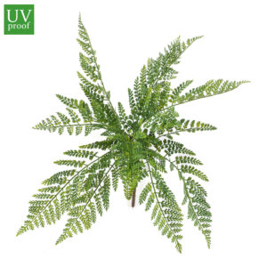 Arbusto HELECHO ASPLENIUM artificial para exterior con protección UV y 55 cm de altura total. Modelo de Increíble realismo para tu jardín.