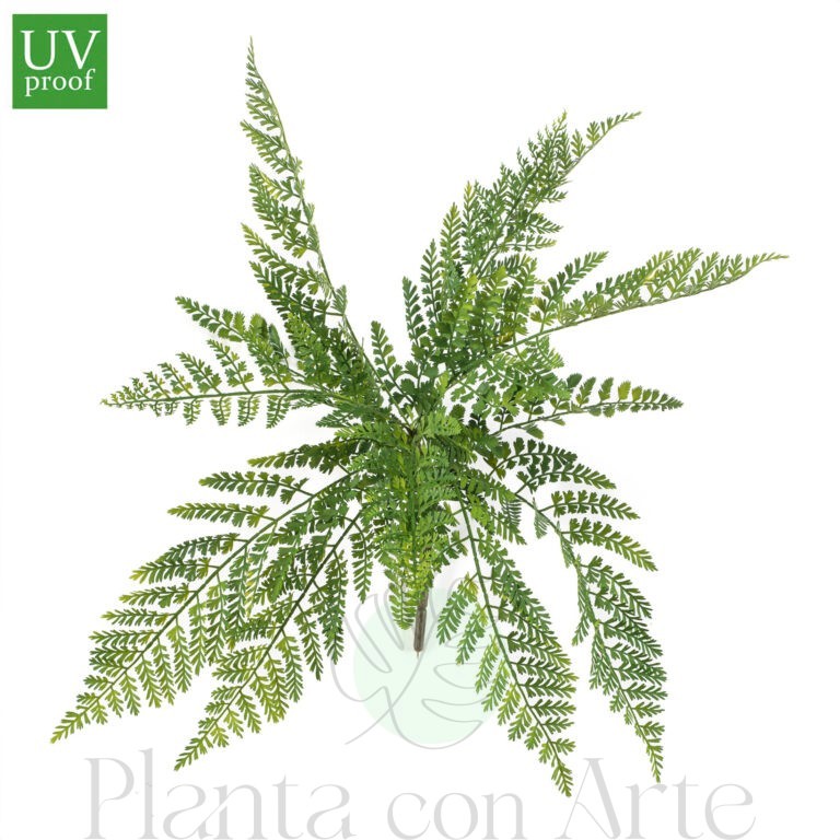 Arbusto HELECHO ASPLENIUM artificial para exterior con protección UV y 55 cm de altura total. Modelo de Increíble realismo para tu jardín.