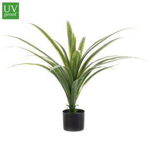 Planta DRÁCENA artificial para exterior con 80 cm de altura. Réplica de estética elegante con grandes hojas gruesas acabadas en punta. Una planta tropical espectacular para cualquier tipo de ambiente, con un alto nivel de realismo y no requiere ningún tipo de mantenimiento.