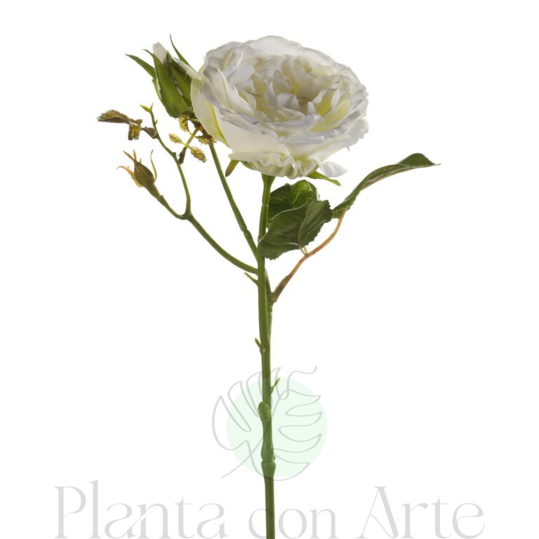 ROSA crema artificial realista de 37 cm de altura total muy realista, para decorar tus bouquets o jardineras