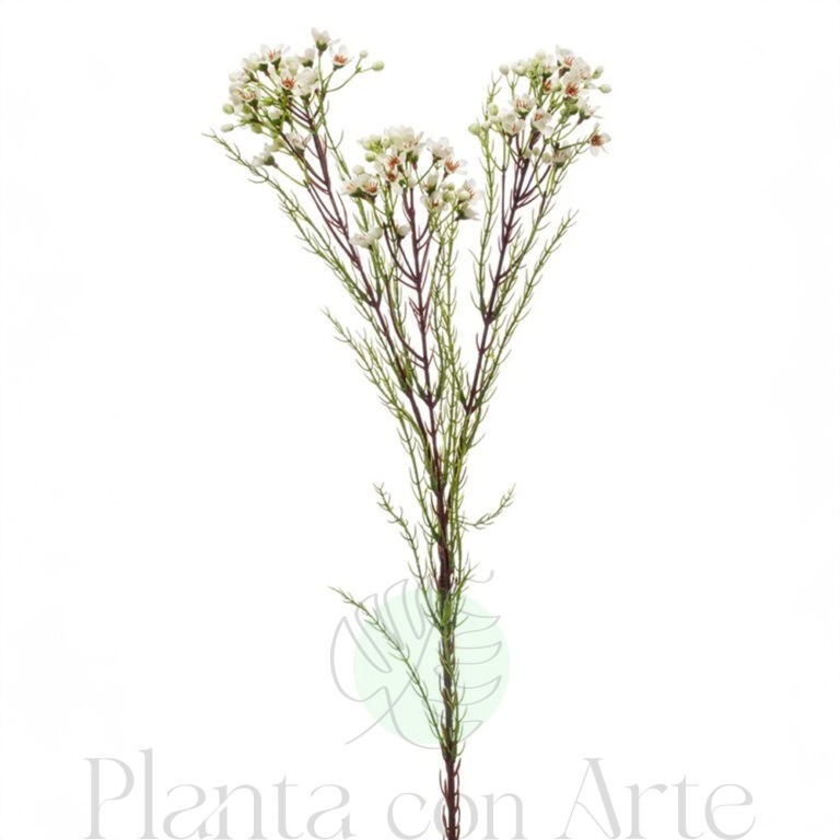 WAXFLOWER o FLOR de CERA artificial realista de 78 cm de altura total, para decorar tus bouquets o jardineras