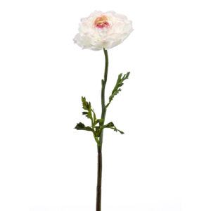 RANÚNCULO CREMA artificial realista de 50 cm de altura total  muy realista, para decorar tus bouquets o jardineras