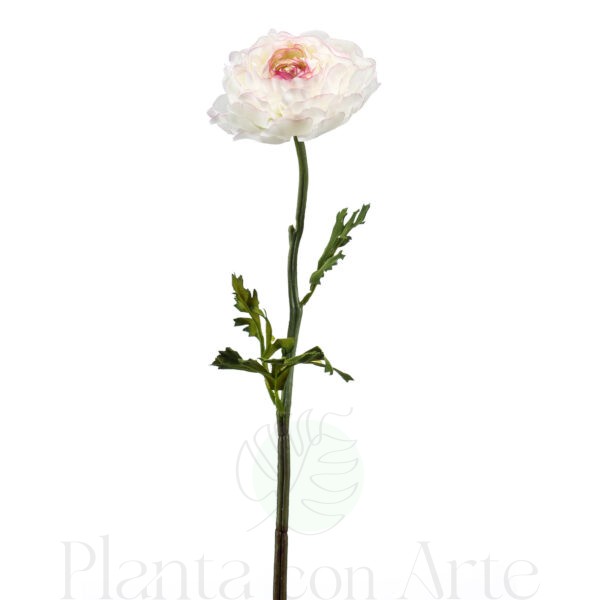RANÚNCULO CREMA artificial realista de 50 cm de altura total  muy realista, para decorar tus bouquets o jardineras