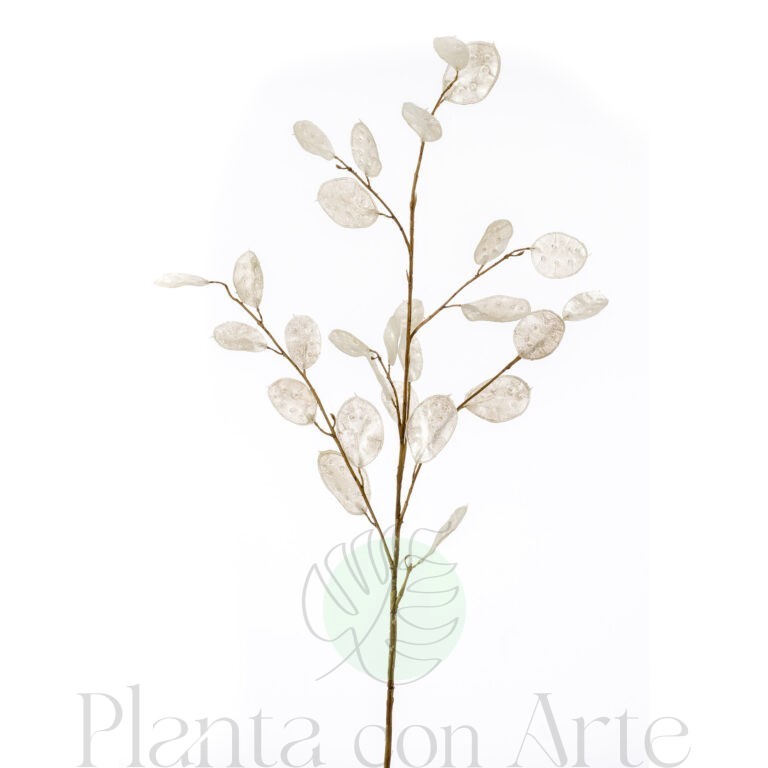 Rama de LUNARIA crema artificial de altísimo realismo y color vivo. Preciosa rama muy decorativa para ambientes orientales. Uso en interior.