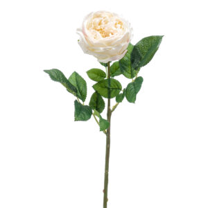 ROSA crema artificial realista con TACTO REAL, de 60 cm de altura total. La Rosa JENNY color crema es muy realista, para decorar tus bouquets o jardineras