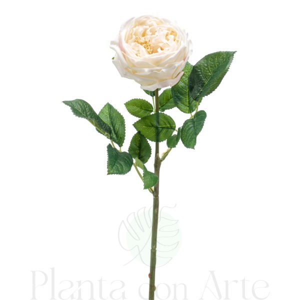 ROSA crema artificial realista con TACTO REAL, de 60 cm de altura total. La Rosa JENNY color crema es muy realista, para decorar tus bouquets o jardineras