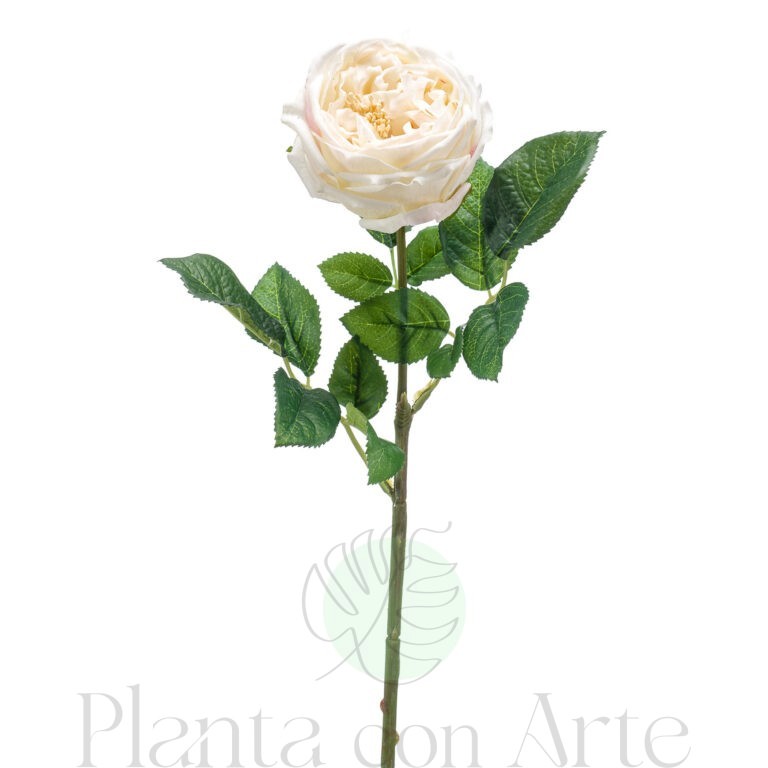 ROSA crema artificial realista con TACTO REAL, de 60 cm de altura total. La Rosa JENNY color crema es muy realista, para decorar tus bouquets o jardineras