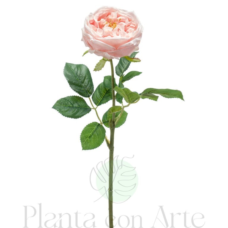 ROSA MELOCOTÓN artificial realista con TACTO REAL, de 60 cm de altura total