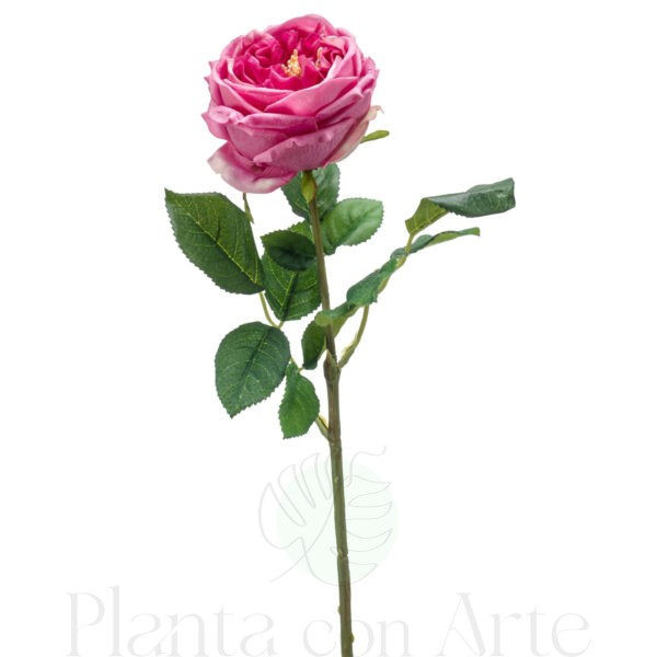 ROSA ROSA artificial realista con TACTO REAL, de 60 cm de altura total