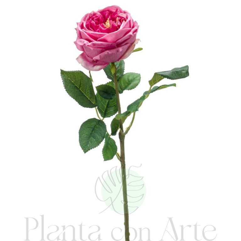 ROSA ROSA artificial realista con TACTO REAL, de 60 cm de altura total