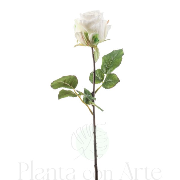 ROSA crema artificial realista de 57 cm de altura total. La Rosa FEMKE color crema es muy realista, para decorar tus bouquets o jardineras.