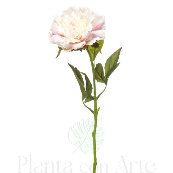 PEONÍA BLANCA artificial tacto real, realista de 56 cm de altura total realista