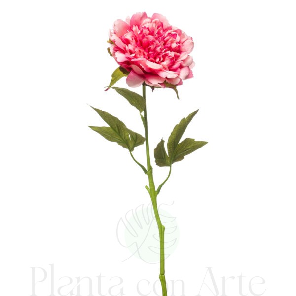 PEONÍA ROSA artificial tacto real, realista de 56 cm de altura total realista, para decorar tus bouquets o jardineras