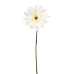 Gerbera BLANCA artificial con material reciclado y 63 cm de altura muy realista, para decorar tus bouquets o jardineras