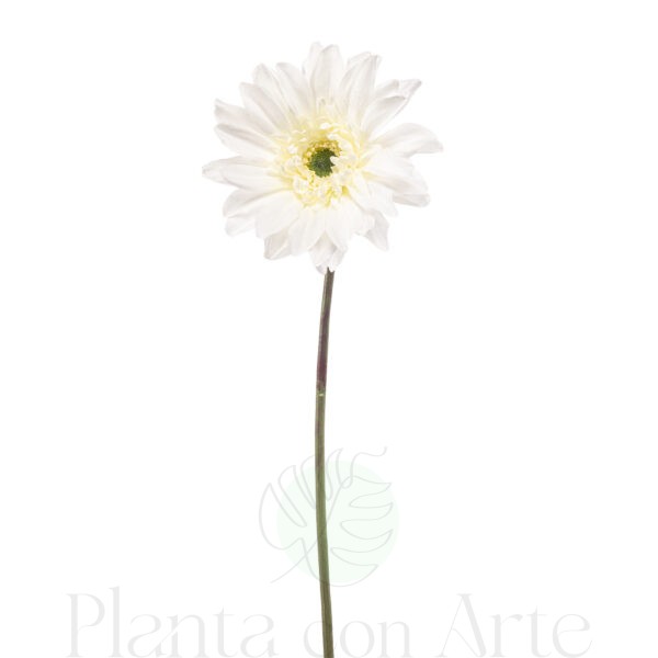 Gerbera BLANCA artificial con material reciclado y 63 cm de altura muy realista, para decorar tus bouquets o jardineras