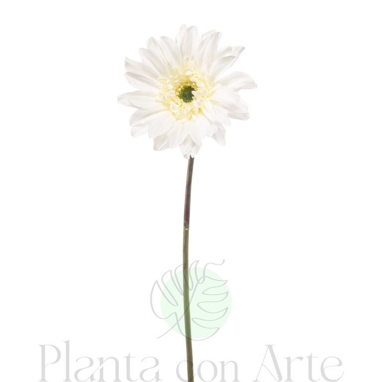 Gerbera BLANCA artificial con material reciclado y 63 cm de altura muy realista, para decorar tus bouquets o jardineras