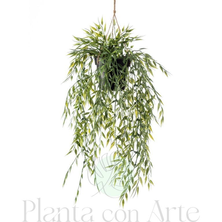 Planta colgante BAMBÚ artificial en maceta con cuerda de macramé, listo para colgar.