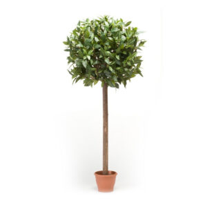 Laurel esfera artificial