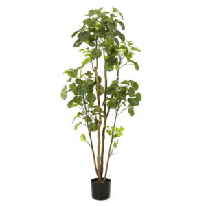 Planta ARALIA hiperrealista de 160 cm de altura
