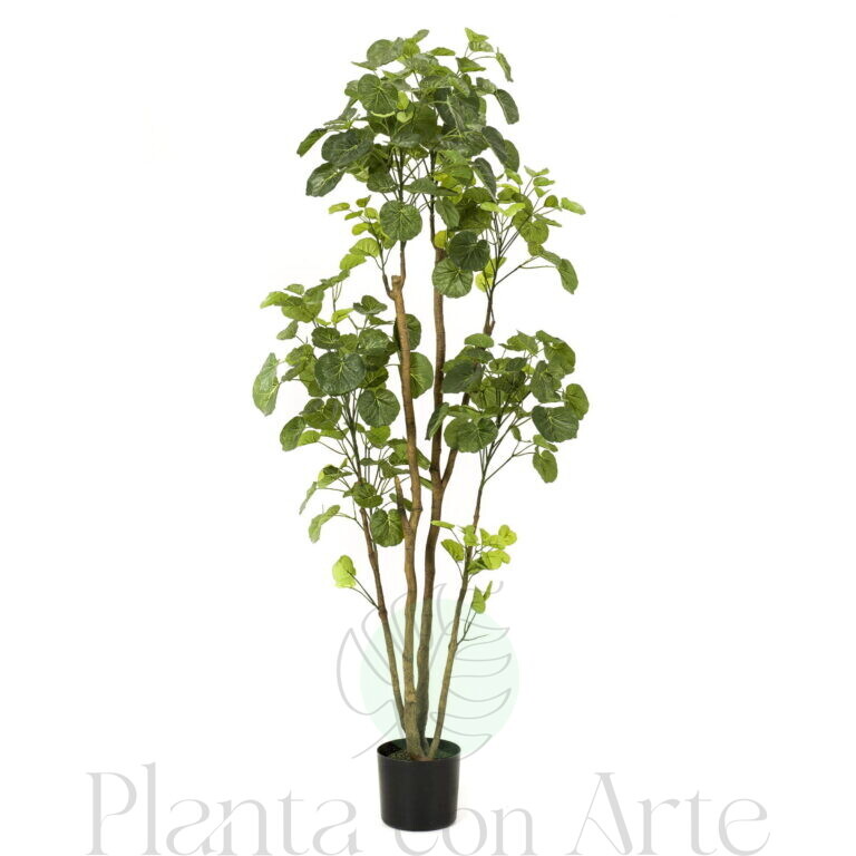 Planta ARALIA hiperrealista de 160 cm de altura