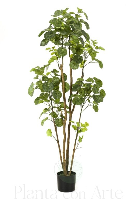 Polyscias Aralia artificial hiperrealista de 160 cm de altura