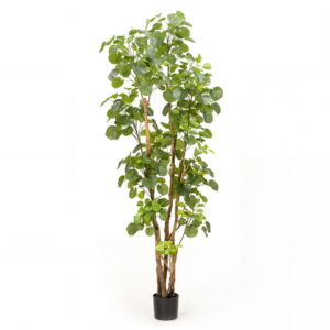 Planta de Aralia hiperrealista de 195 cm de altura