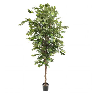 Árbol ficus BENJAMINA artificial PREMIUM de 205 cm de alto