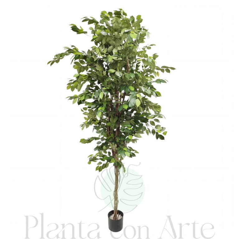 Árbol ficus BENJAMINA artificial PREMIUM de 205 cm de alto