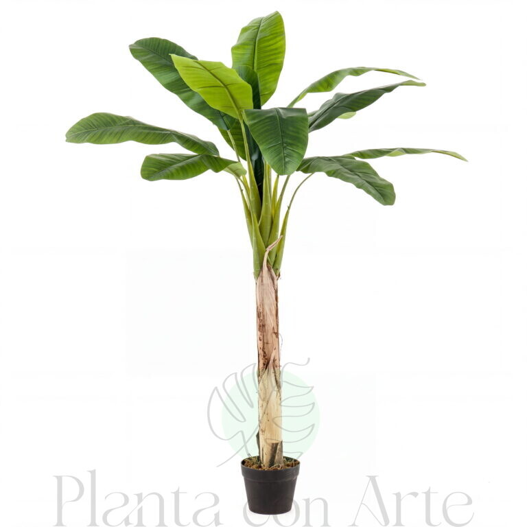 Árbol PLATANERO artificial hiperrealista de 155 cm de alto, con un tronco revestido de hoja natural de imponente aspecto por su realismo y gran tamaño