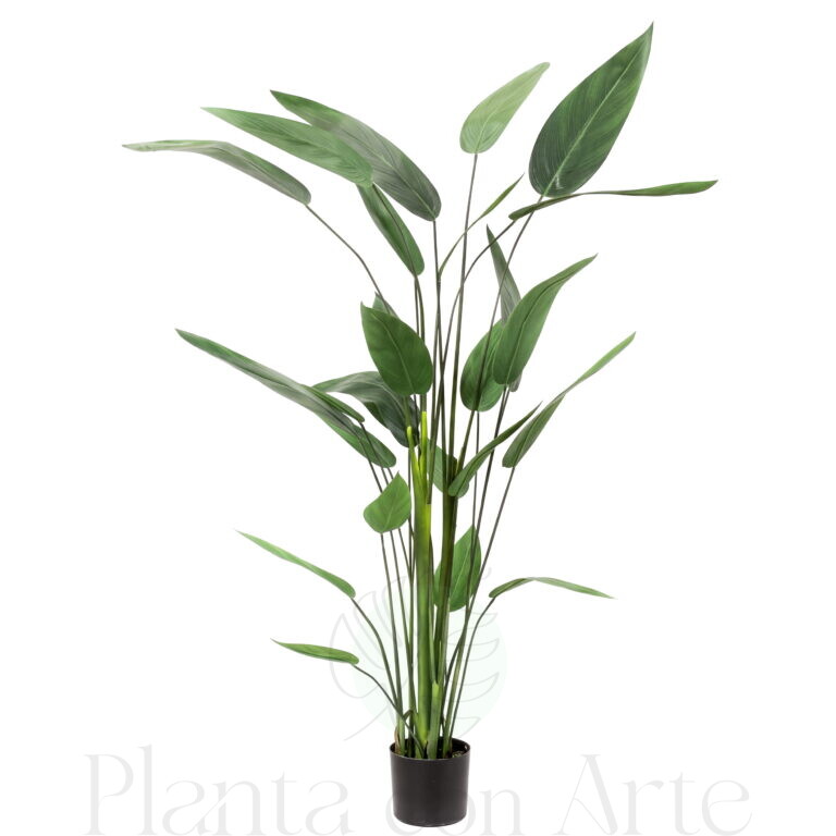 Planta HELICONIA de 180cm hiperrealista