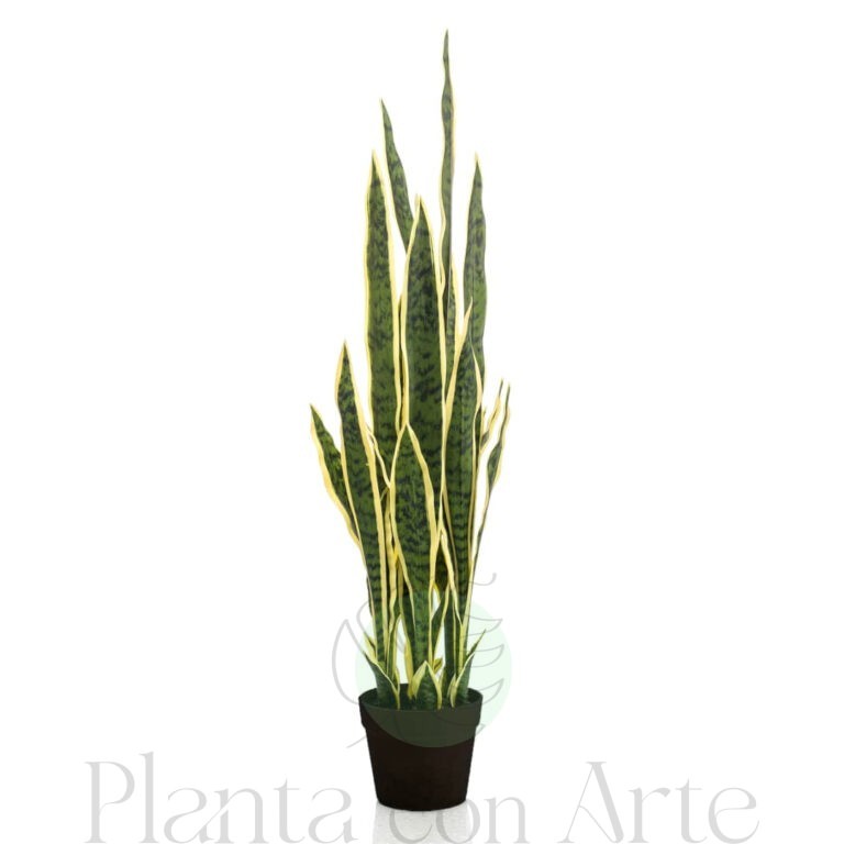 Preciosa planta SANSEVIERIA artificial, de increíble realismo, con hojas gruesas de color verde y amarillo intenso con personalidad y alto realismo