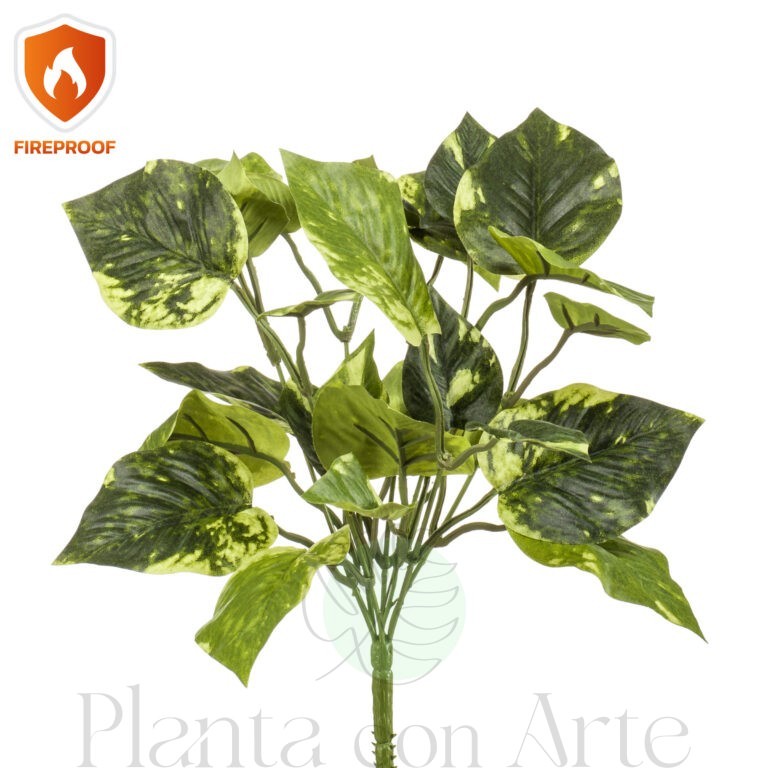 arbusto scindapsus ignífigo de 28 cm de alto