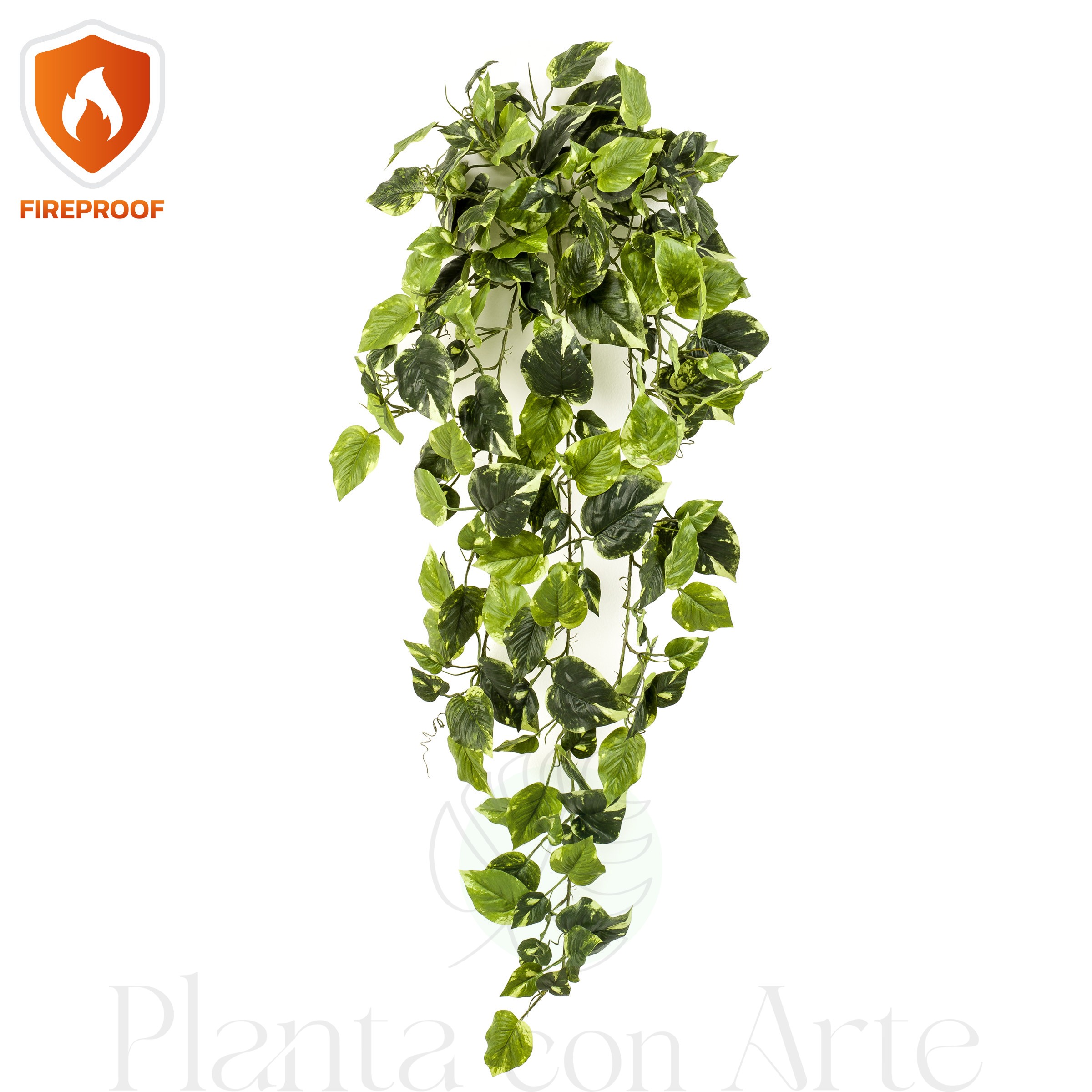 Colgante SCINDAPSUS PICTUS  Ignífugo