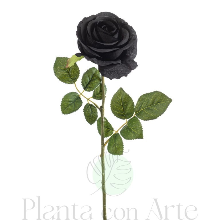 Rosa NEGRA artificial de altísimo realismo