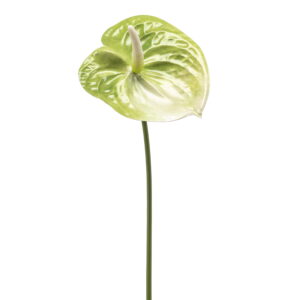 ANTURIO VERDE artificial realista de 65 cm de altura total realista, para decorar tus bouquets o jardineras en Plantaconarte.com