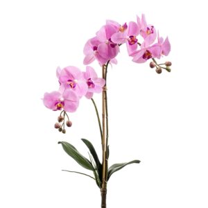 Planta Orquídea Phalaenopsis artificial rosa de tacto real con hojas de alto realismo y 65 cm de alto total
