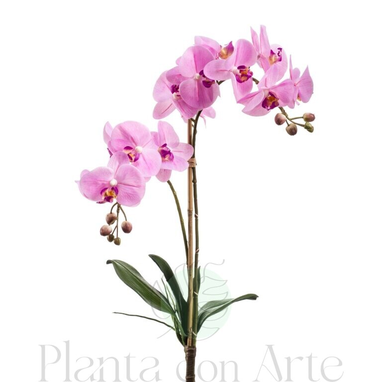 Planta Orquídea Phalaenopsis artificial rosa de tacto real con hojas de alto realismo y 65 cm de alto total