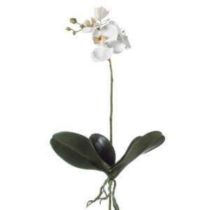 Planta Orquídea Phalaenopsis artificial blanca con hojas de alto realismo y 45 cm de alto total