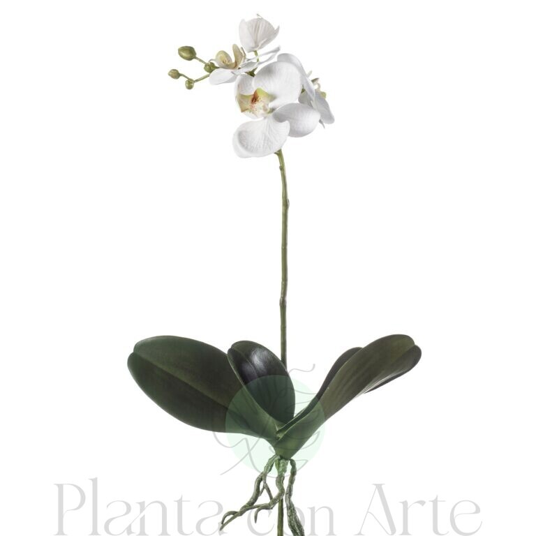 Planta Orquídea Phalaenopsis artificial blanca con hojas de alto realismo y 45 cm de alto total