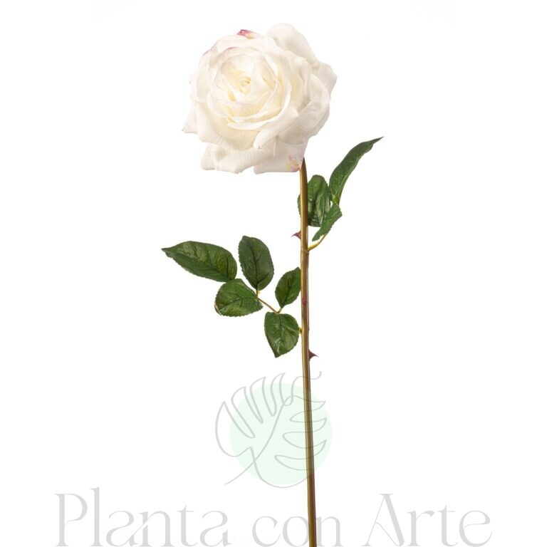 Rosa BLANCA artificial con tacto real | Hiperrealista