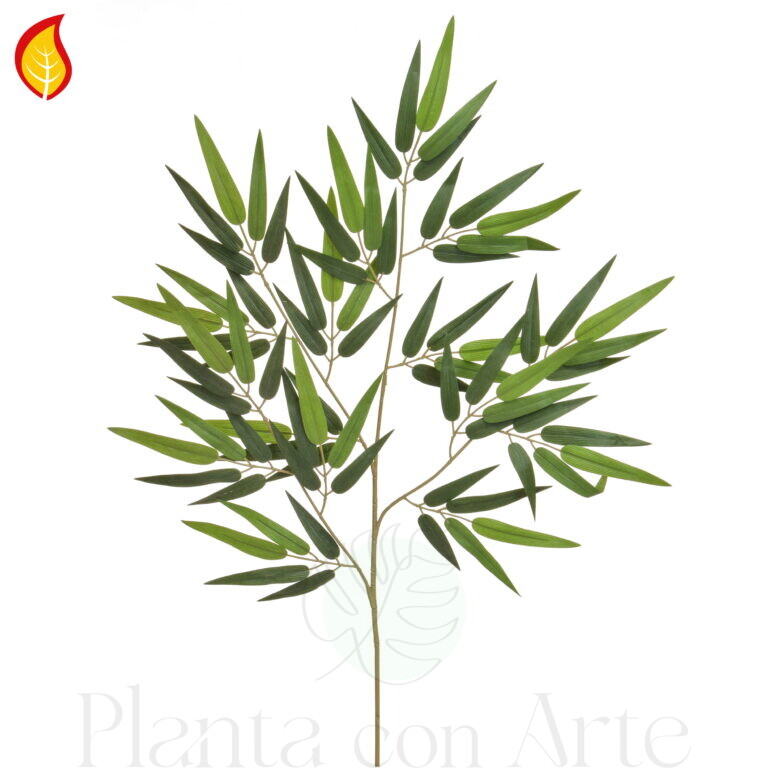 Rama de BAMBÚ · 76H FR-S1 DE 76 cm de altura