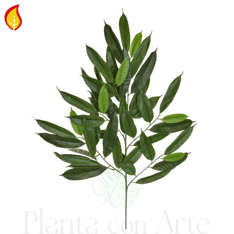 Rama de FICUS ignífuga · 95H FR-S1