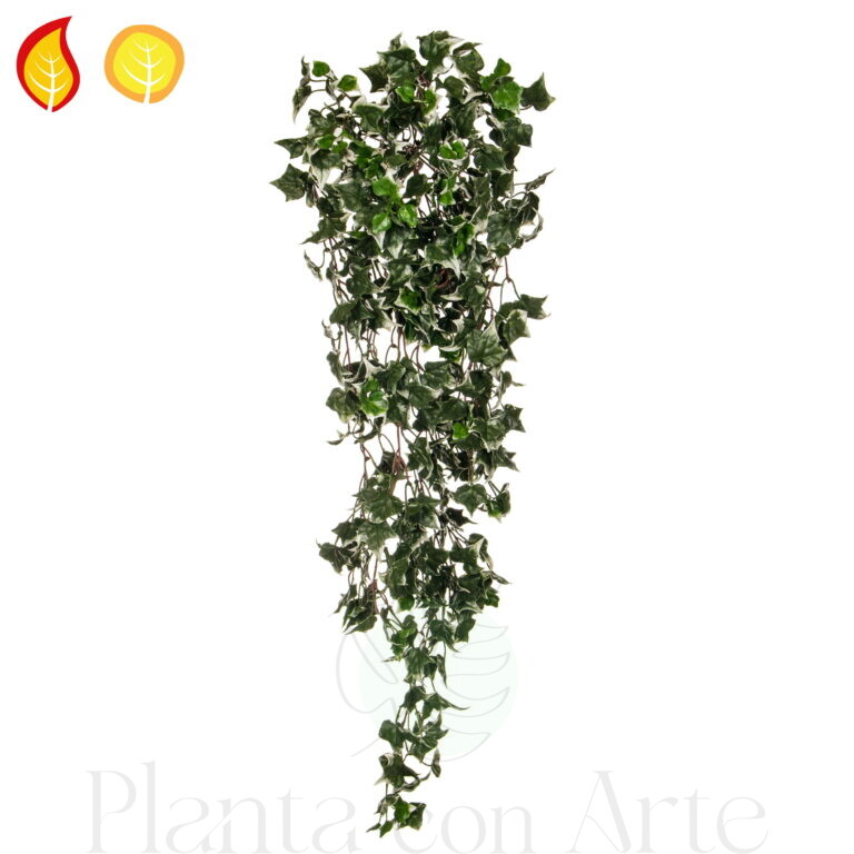 MATA colgante de HIEDRA VARIEGATA VERDE OSCURO artificial UV FR S2 ignífuga con acabado ultrarrealista, y alta frondosidad