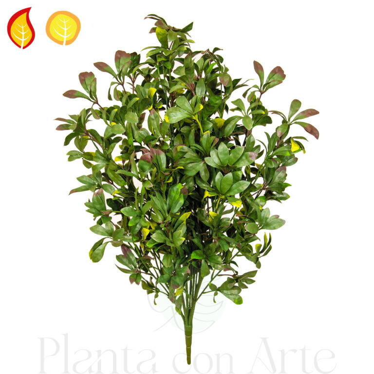 Planta de PITTOSPORUM UVFR artificial Hiperrealista - Cumple la Norma Europea BS EN 13501-1:2018-B-S4, d0 - Planta ignífuga para espacios públicos -Exterior