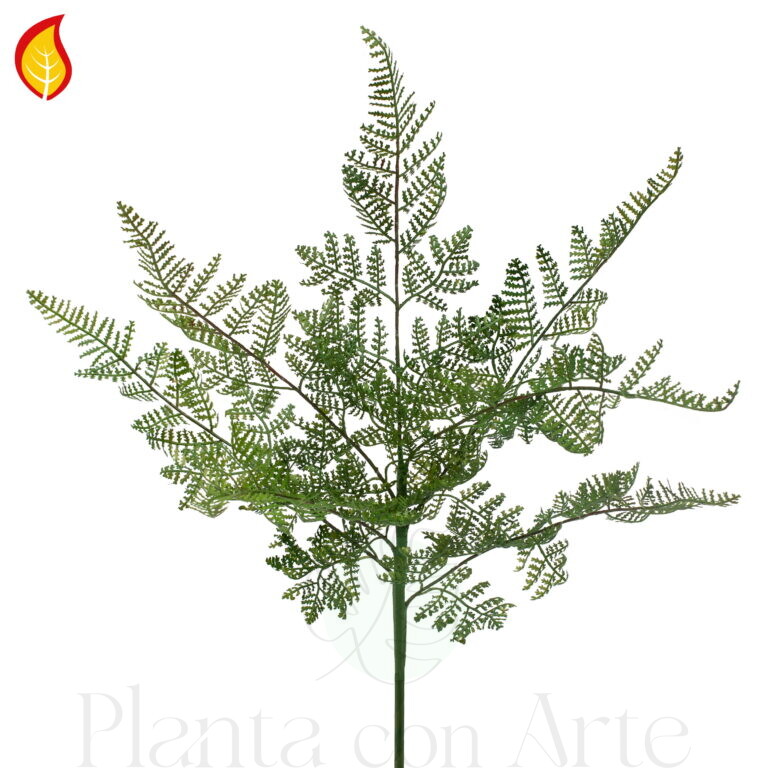 Planta HELECHO ASPARAGUS FR artificial ignífuga hiperrealista - BS EN 13501-1